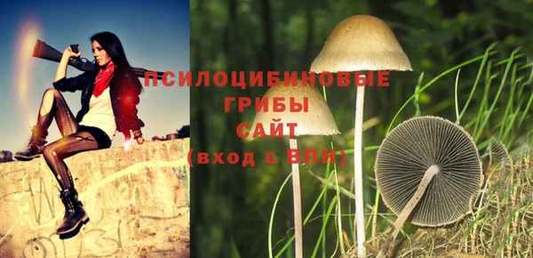 стафф Алексеевка