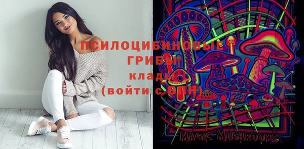 тгк Алексин
