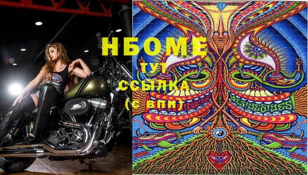 стафф Алексеевка