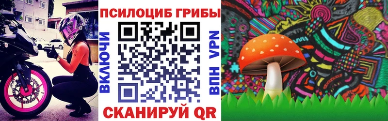 kraken ссылки  Чебоксары  Галлюциногенные грибы мицелий 